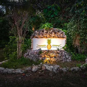 4* Aparthotel Pineapple Fields